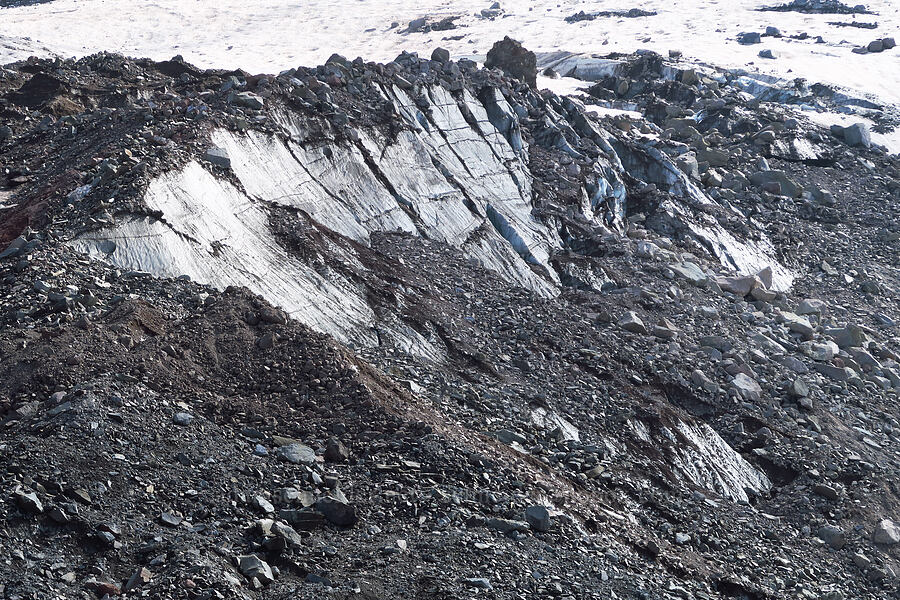 Ladd Glacier [below Barrett Spur, Mt. Hood Wilderness, Hood River County, Oregon]