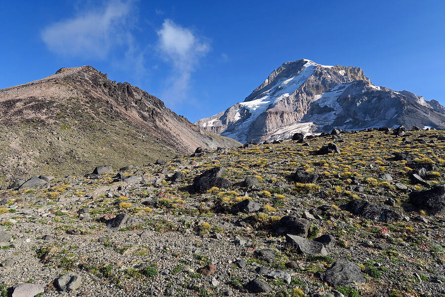 Barrett Spur & Mount Hood [Barrett Spur Trail, Mt. Hood Wilderness, Hood River County, Oregon]