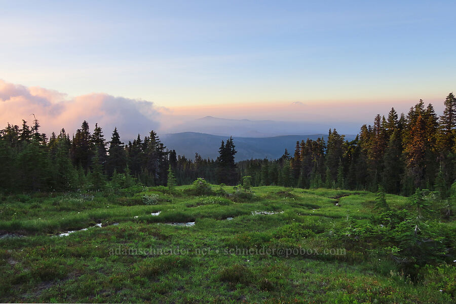 view to the north [Wy'east Basin, Mt. Hood Wilderness, Hood River County, Oregon]