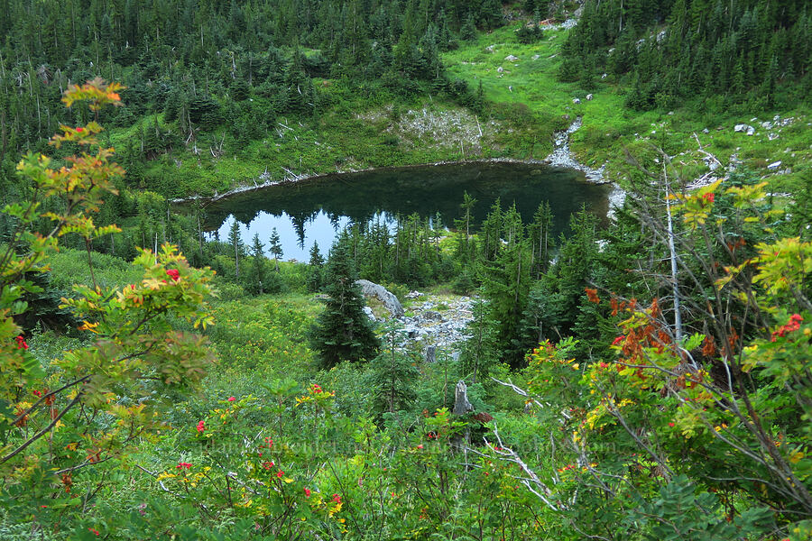 Source Lake [Source Lake Trail, Mt. Baker-Snoqualmie National Forest, King County, Washington]