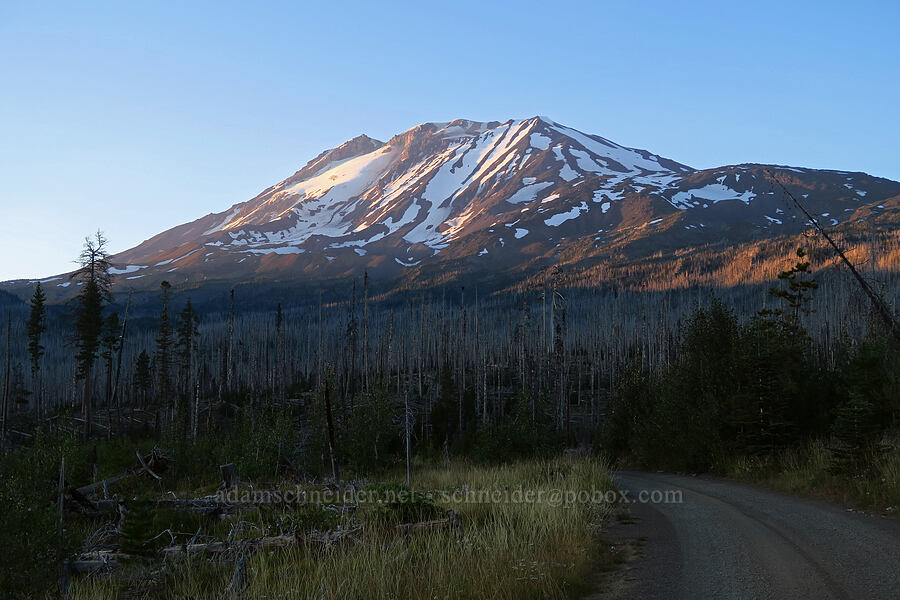 Mount Adams at sunset [Forest Road 8040, Gifford Pinchot National Forest, Yakima County, Washington]