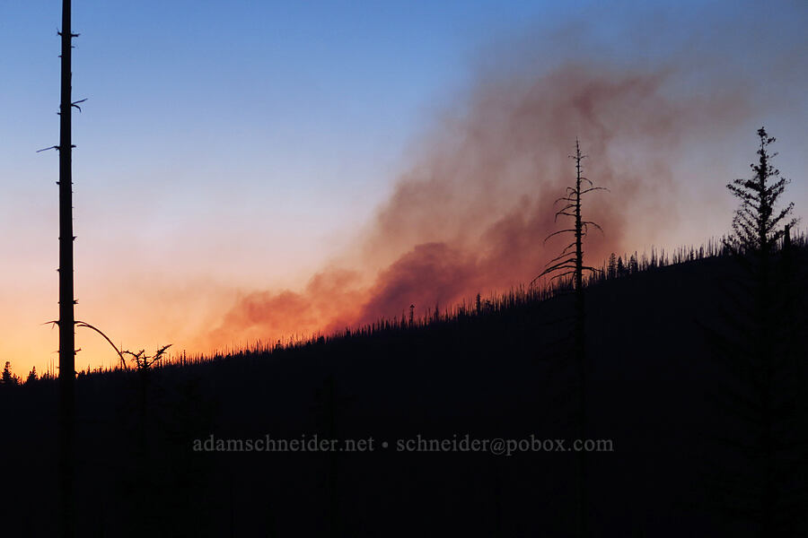 smoke from the Williams Mine Fire [Forest Road 8040, Gifford Pinchot National Forest, Yakima County, Washington]