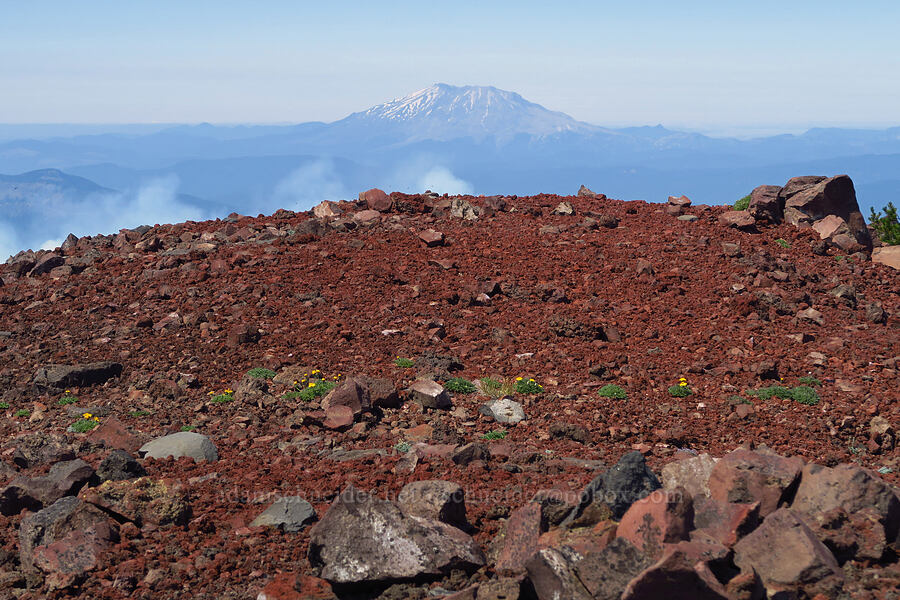 Mount St. Helens and the top of South Butte [South Butte, Mt. Adams Wilderness, Yakima County, Washington]