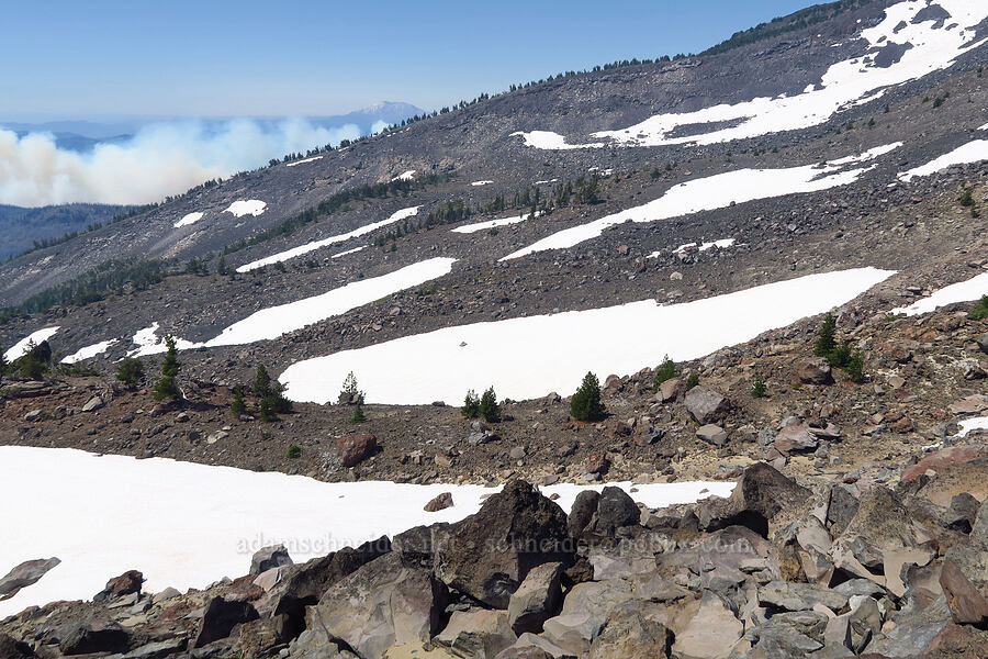 snowfields around Morrison Creek [west of South Butte, Mt. Adams Wilderness, Yakima County, Washington]