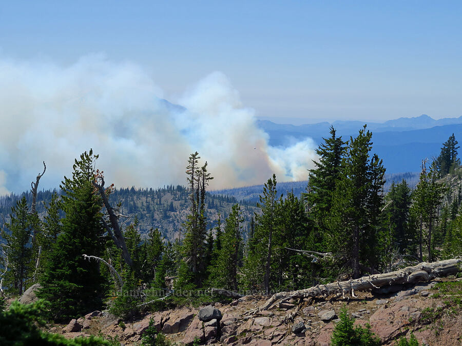 Williams Mine Fire [South Climb Trail, Mt. Adams Wilderness, Yakima County, Washington]