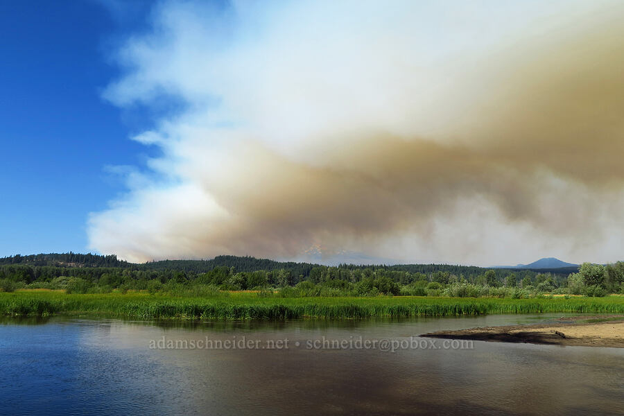 Williams Mine Fire on Mt. Adams [Trout Lake Natural Area Preserve, Klickitat County, Washington]