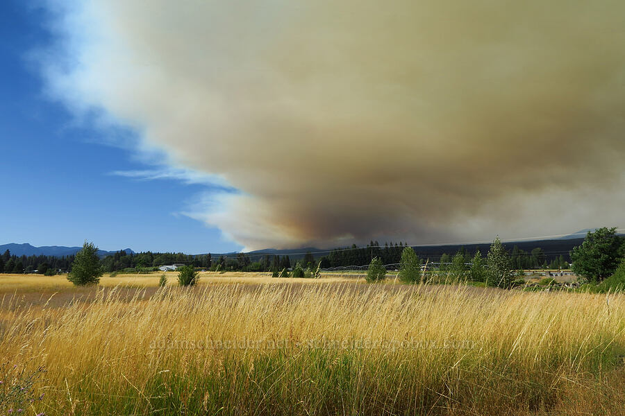 Williams Mine Fire on Mt. Adams [Wood Road, Trout Lake, Klickitat County, Washington]