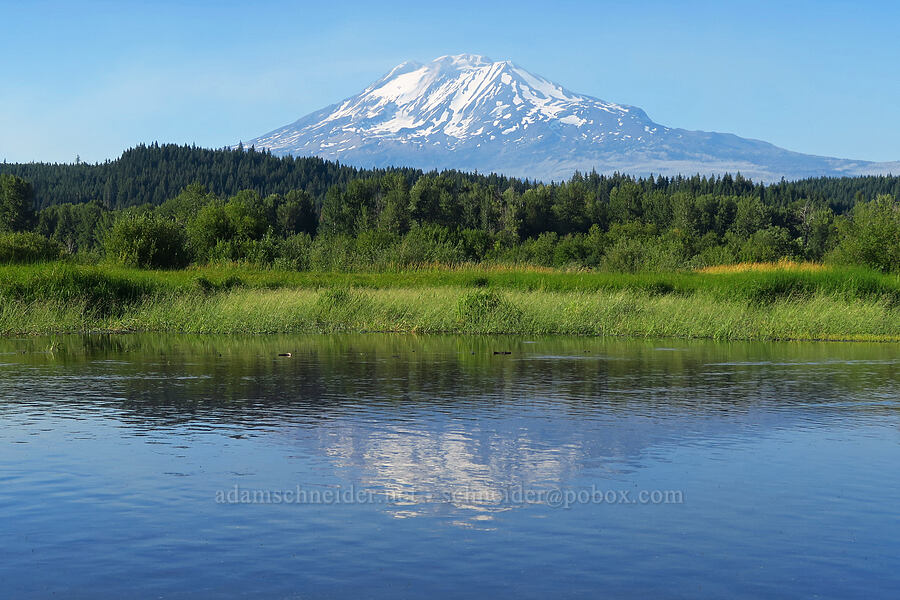 Mount Adams & Trout Lake [Trout Lake Natural Area Preserve, Klickitat County, Washington]