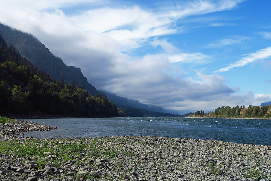 Columbia River Gorge [Tanner Creek Recreation Area, Multnomah County, Oregon]