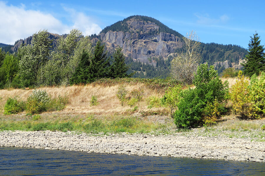 Hamilton Mountain [Ives Island, Skamania County, Washington]