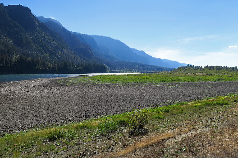 Ives Island [Hamilton Island, Skamania County, Washington]