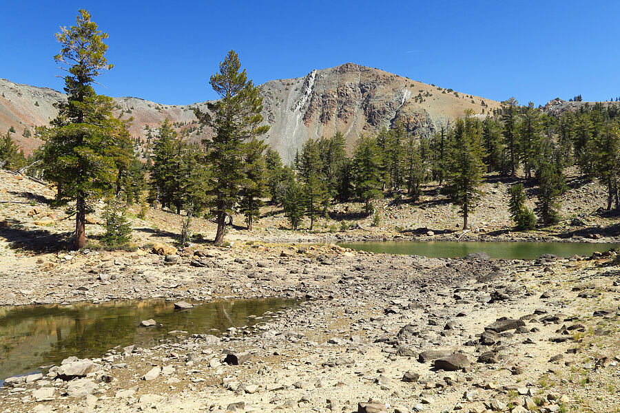 Double Deadfall Lake & Mount Eddy [Deadfall Lakes Trail, Shasta-Trinity National Forest, Trinity County, California]