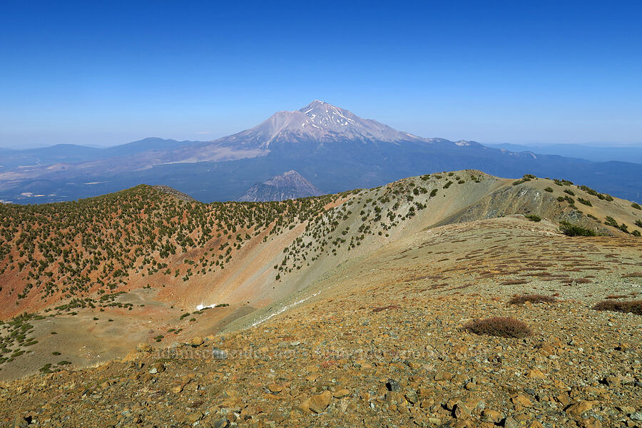 Mount Shasta & the top of Mount Eddy [summit of Mt. Eddy, Shasta-Trinity National Forest, Siskiyou County, California]