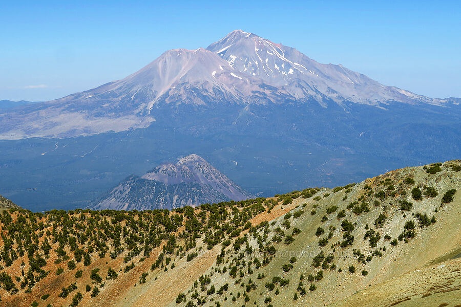 Mount Shasta & Black Butte [summit of Mt. Eddy, Shasta-Trinity National Forest, Siskiyou County, California]