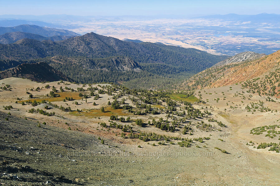 basin north of Mount Eddy [summit of Mt. Eddy, Shasta-Trinity National Forest, Siskiyou County, California]