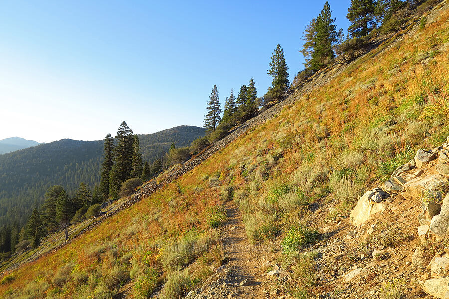 September slope [Pacific Crest Trail, Shasta-Trinity National Forest, Trinity County, California]