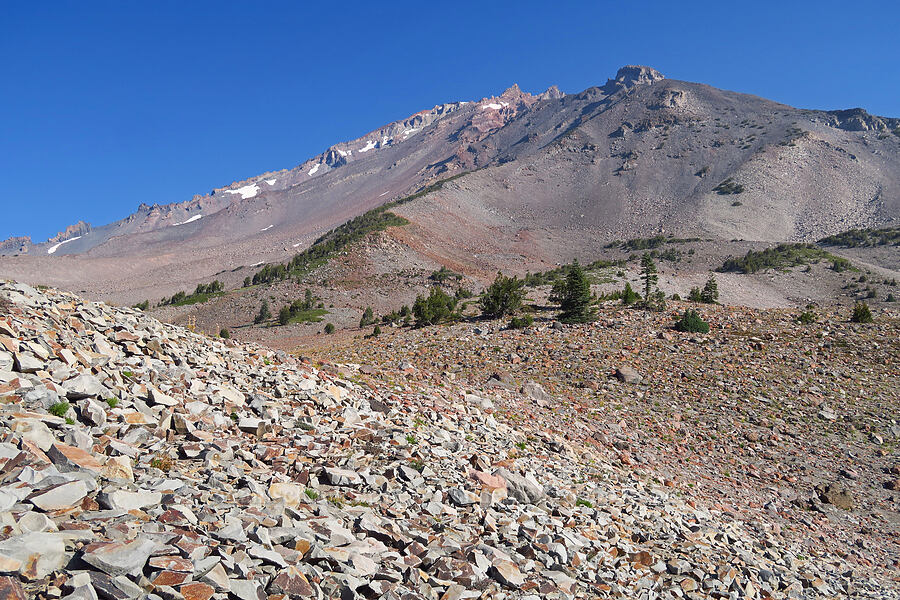 Mount Shasta [South Gate Meadow Trail, Mount Shasta Wilderness, Siskiyou County, California]