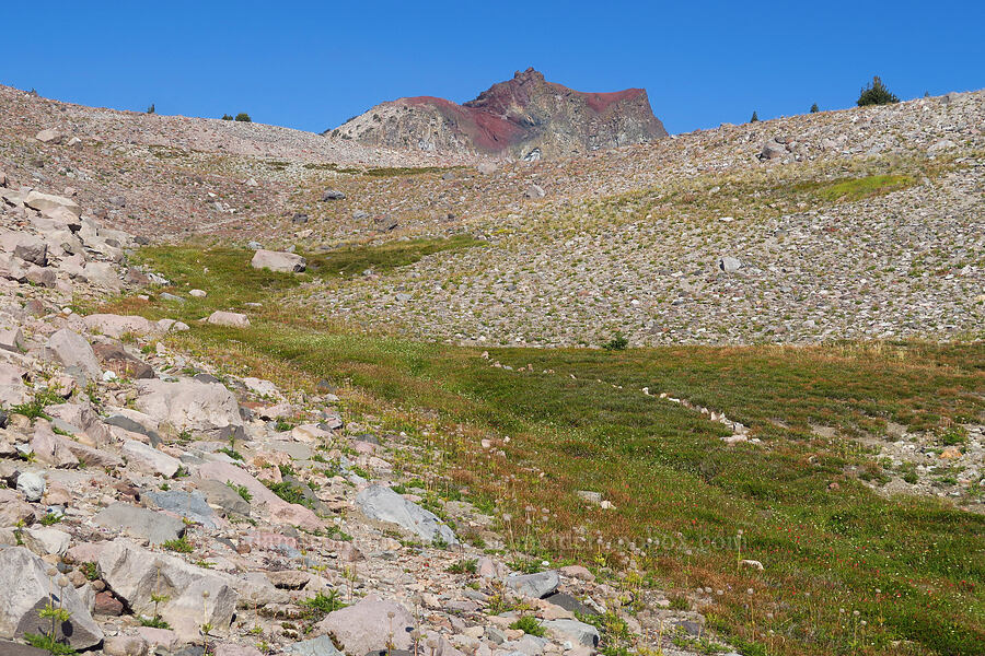 Hummingbird Meadow & Green Butte [South Gate Meadow Trail, Mount Shasta Wilderness, Siskiyou County, California]