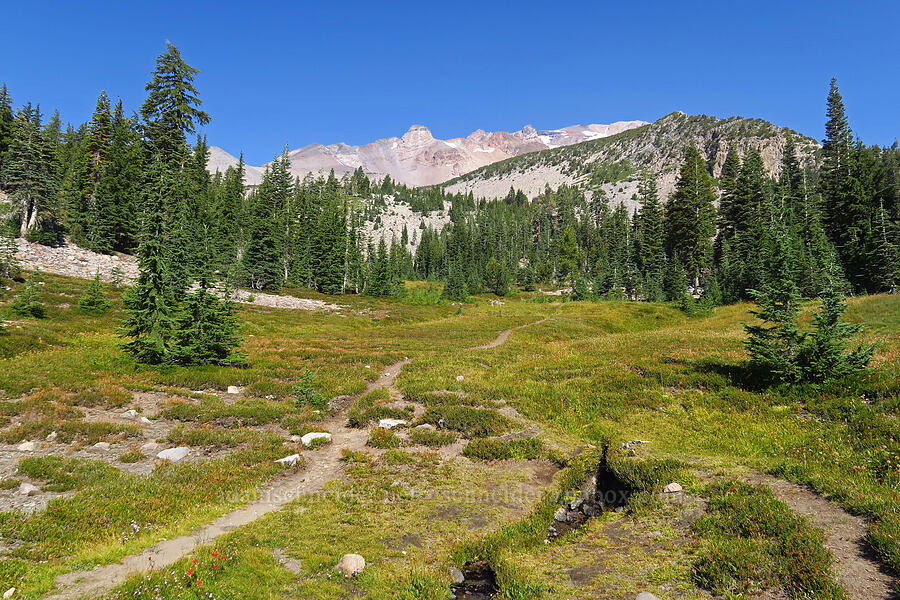 South Gate Meadows [South Gate Meadows, Mount Shasta Wilderness, Siskiyou County, California]