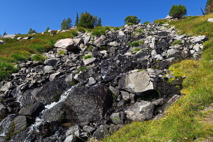 cascades on Yét Atwam Creek [South Gate Meadows, Mount Shasta Wilderness, Siskiyou County, California]