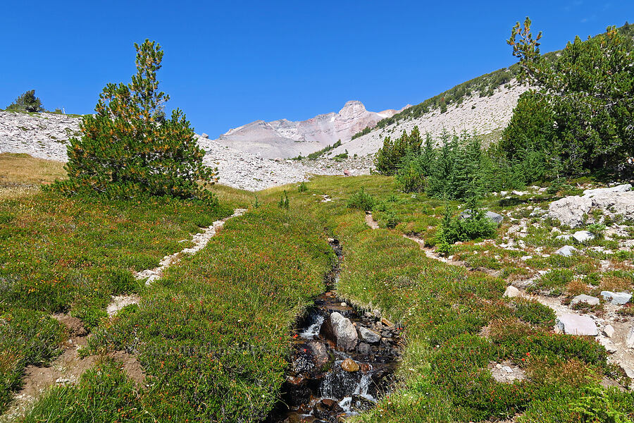 Shastarama Point & upper South Gate Meadows [South Gate Meadows, Mount Shasta Wilderness, Siskiyou County, California]