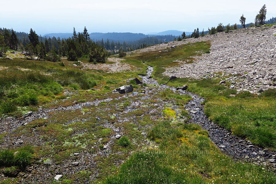 head of Yét Atwam Creek [South Gate Meadows, Mount Shasta Wilderness, Siskiyou County, California]