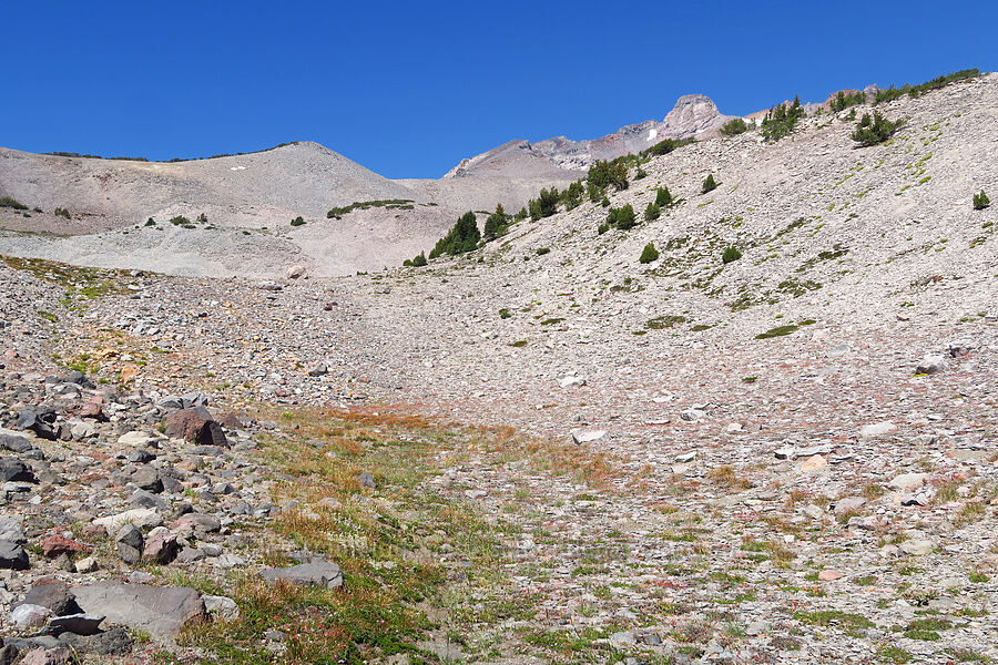 Shastarama Point & alpine fell fields [west of South Gate Meadows, Mount Shasta Wilderness, Siskiyou County, California]