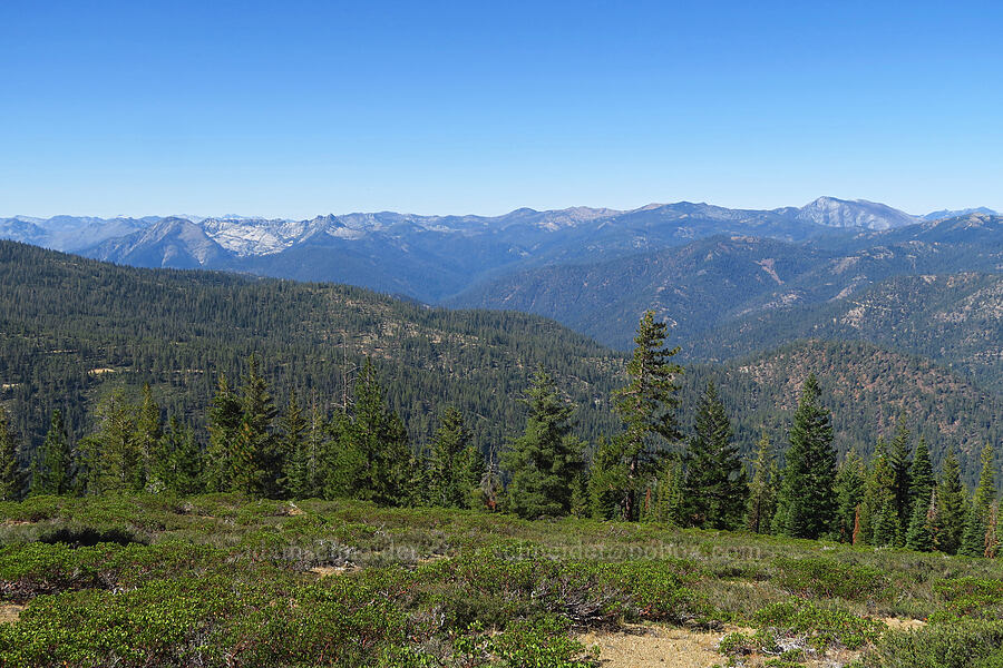 view to the southwest [Forest Road 40N45, Shasta-Trinity National Forest, Trinity County, California]