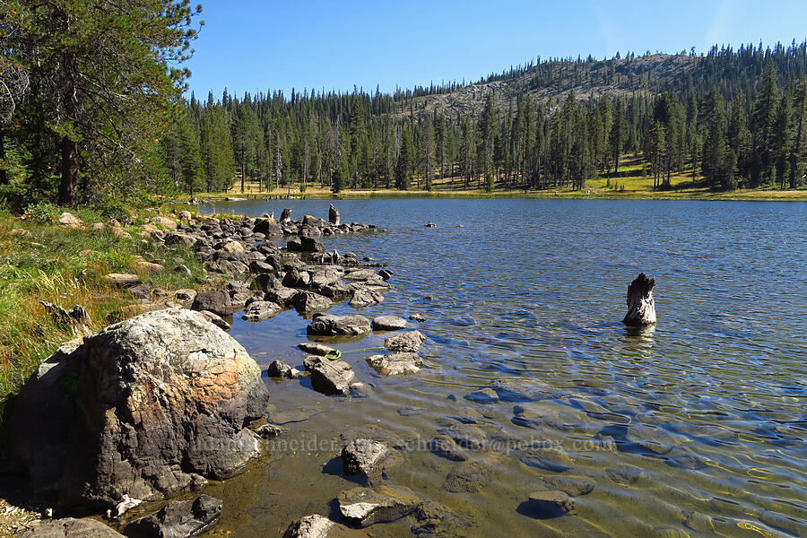 Gumboot Lake [Gumboot Lake, Shasta-Trinity National Forest, Siskiyou County, California]