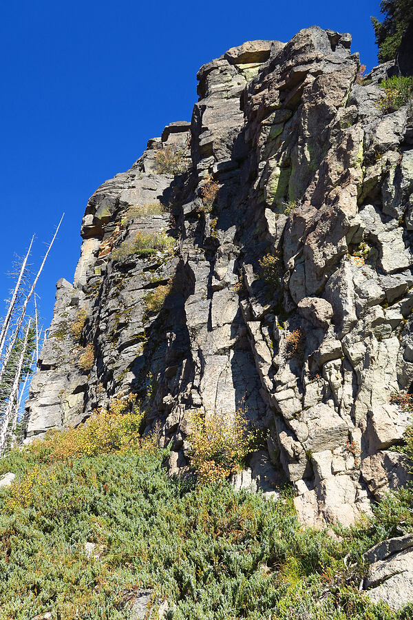 Newton Pinnacle [Picnic Rock Ridge, Mt. Hood National Forest, Hood River County, Oregon]