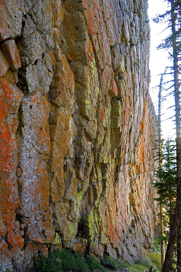 vertical wall [Newton Pinnacle, Mt. Hood National Forest, Hood River County, Oregon]