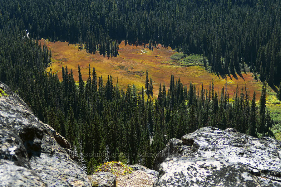 Hood River Meadow [summit of Newton Pinnacle, Mt. Hood National Forest, Hood River County, Oregon]