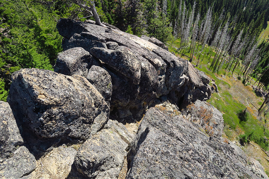 scramble route [Newton Pinnacle, Mt. Hood National Forest, Hood River County, Oregon]