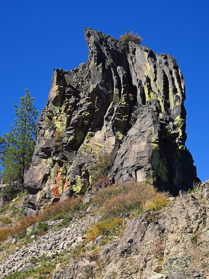 Picnic Rock [Picnic Rock Ridge, Mt. Hood National Forest, Hood River County, Oregon]