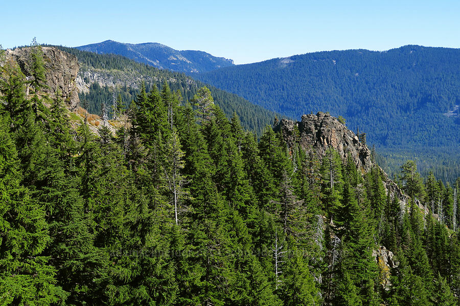 Picnic Rock & Newton Pinnacle [Picnic Rock Spur Trail, Mt. Hood National Forest, Hood River County, Oregon]