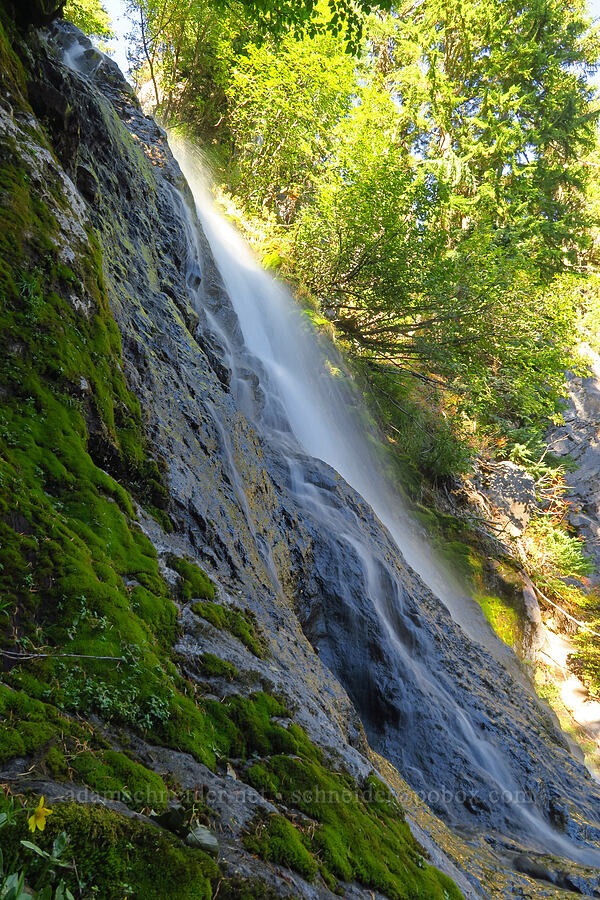 Sahalie Falls [Sahalie Falls, Mt. Hood National Forest, Hood River County, Oregon]