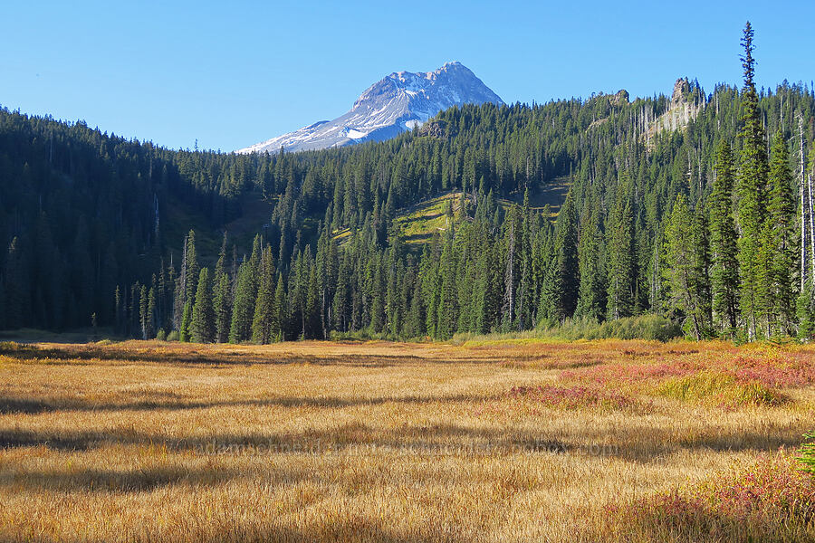 Mount Hood & Hood River Meadow [Hood River Meadow, Mt. Hood National Forest, Hood River County, Oregon]