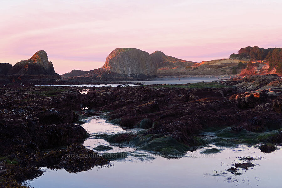 Seal Rock tidepools & Elephant Rock [Seal Rock State Recreation Site, Lincoln County, Oregon]