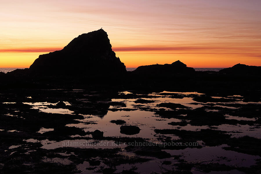 Seal Rock tidepools at sunset [Seal Rock State Recreation Site, Lincoln County, Oregon]