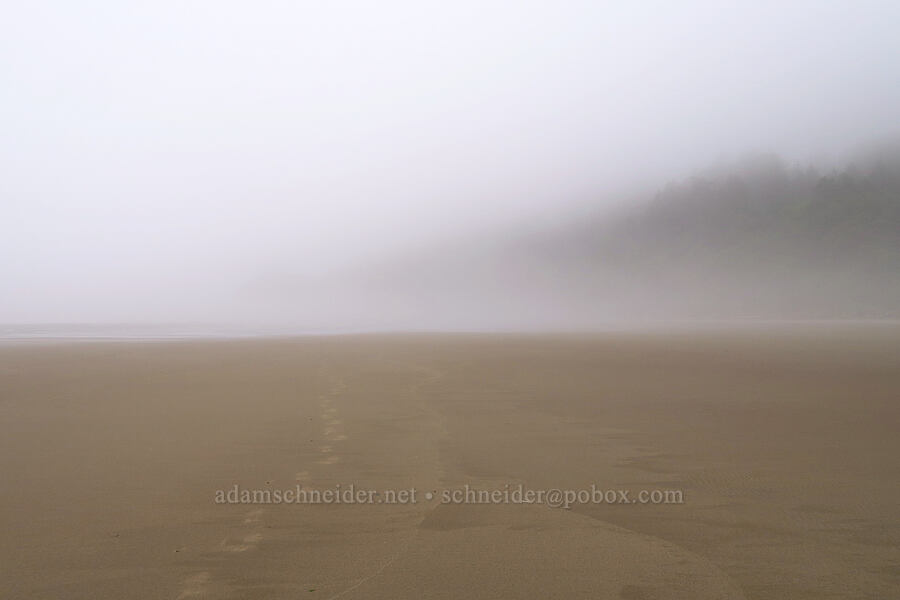 fog [Road's End Point, Lincoln County, Oregon]