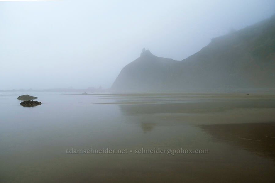 Road's End Point in the fog [Road's End Point, Lincoln County, Oregon]