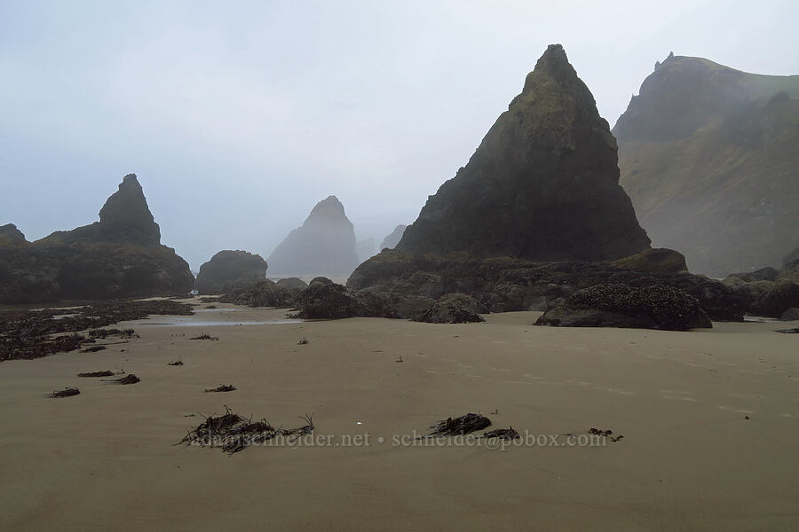 sea stacks & God's Thumb [Road's End Point, Lincoln County, Oregon]