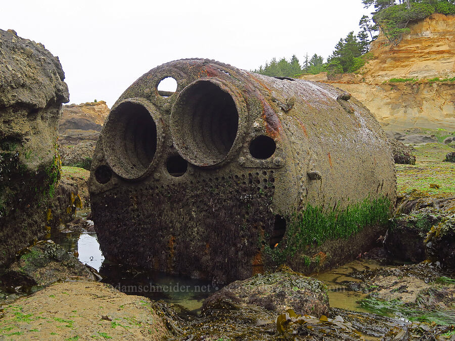 The Boiler [Boiler Bay Marine Research Area, Lincoln County, Oregon]