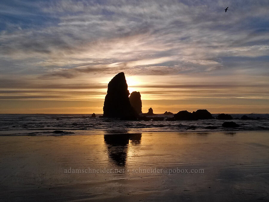 The Needles at sunset [Cannon Beach, Cannon Beach, Clatsop County, Oregon]
