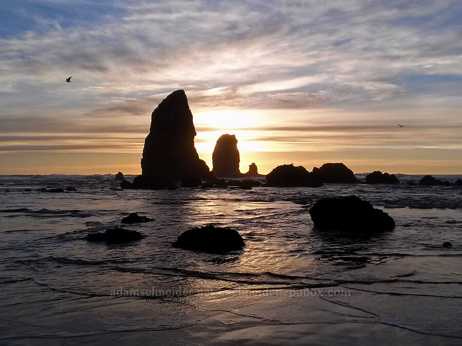 The Needles at sunset [Cannon Beach, Clatsop County, Oregon]