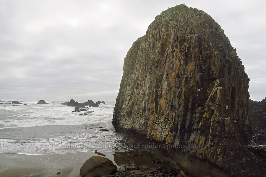 Elephant Rock [Seal Rock State Park, Lincoln County, Oregon]