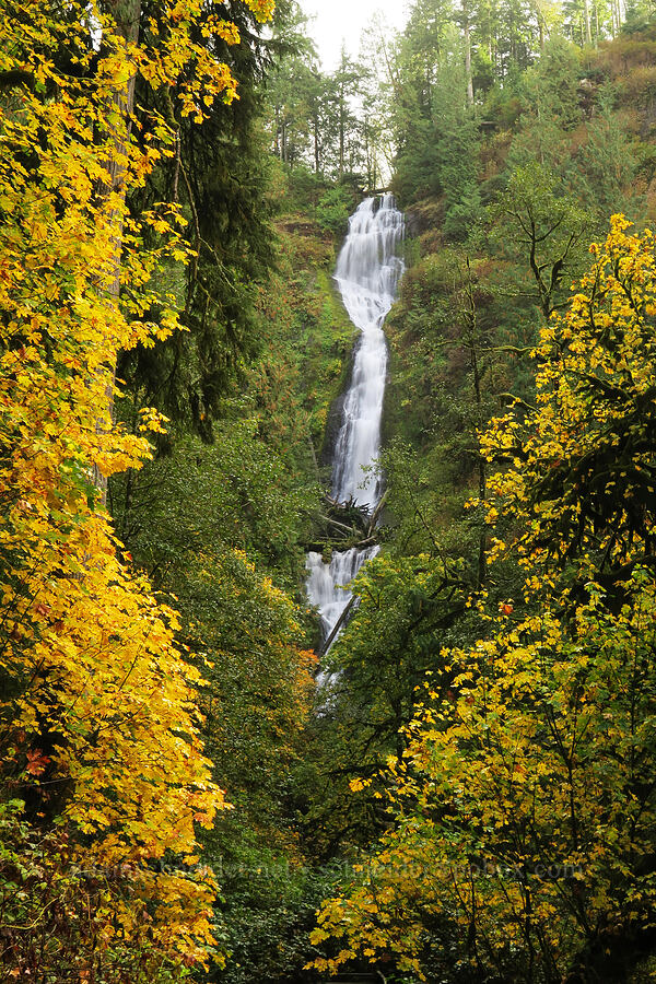 Munson Creek Falls [Munson Creek Falls State Natural Site, Tillamook County, Oregon]