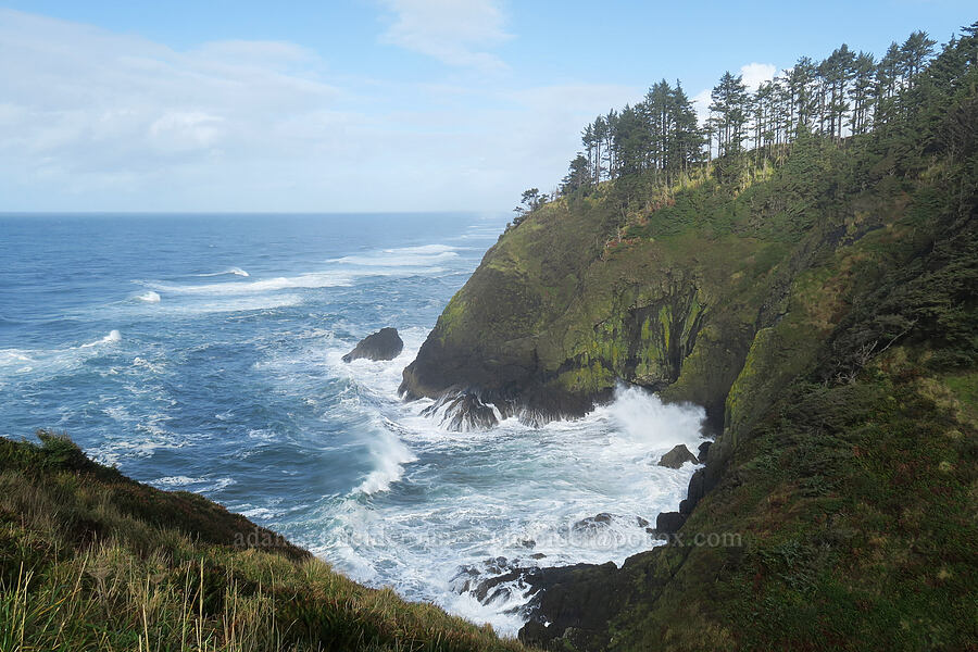 cliffs & waves [North Head, Cape Disappointment State Park, Pacific County, Washington]