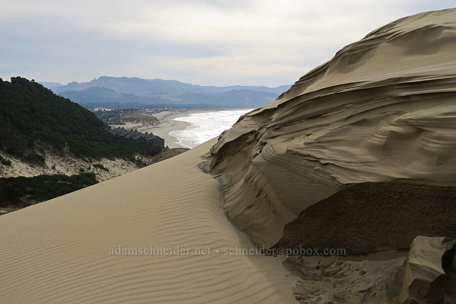 wind-sculpted sand [Cape Kiwanda, Tillamook County, Oregon]