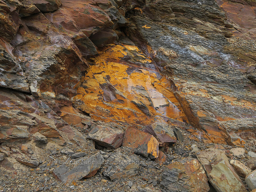 colorful weathered rocks [McPhillips Beach, Tillamook County, Oregon]